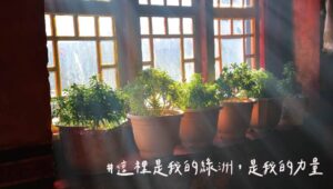 這裡是我的綠洲,是我的力量